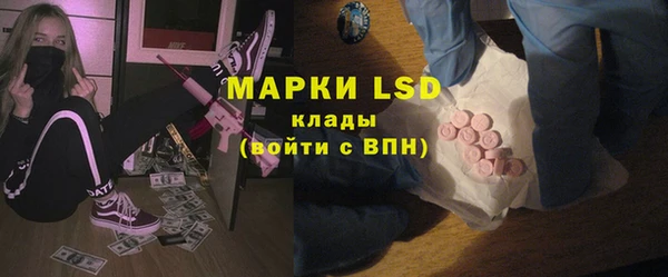 твердый Бородино