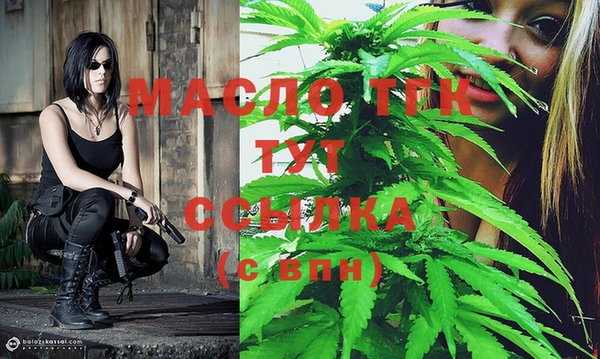 твердый Бородино