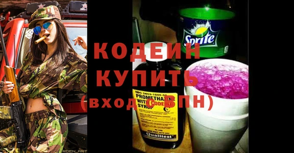 твердый Бородино