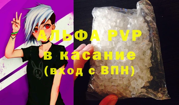 твердый Бородино