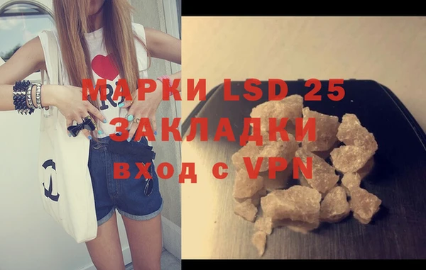 твердый Бородино