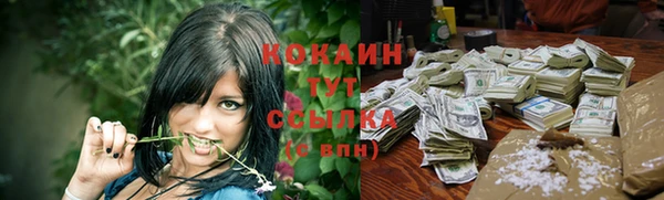 твердый Бородино